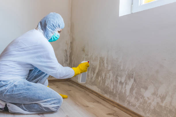 Crawl Space Mold Remediation treatment of floor joists in Olney