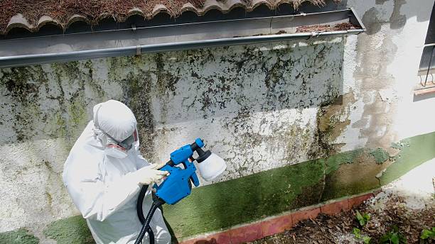 Clearance testing in Olney